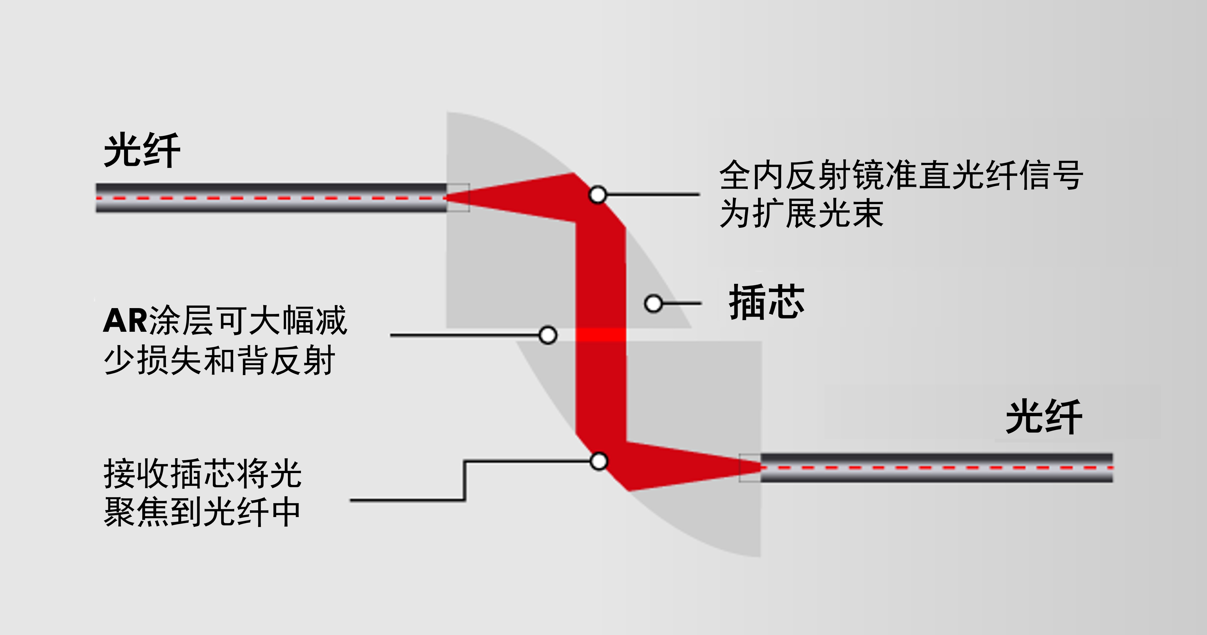 Graphic illustration of the features of a ferrule connector.
