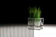 3M™ Fasara™ Sichtschutzfolie SH2BKST Shutie Black (1