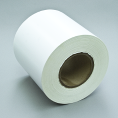 7600side-1458.tif